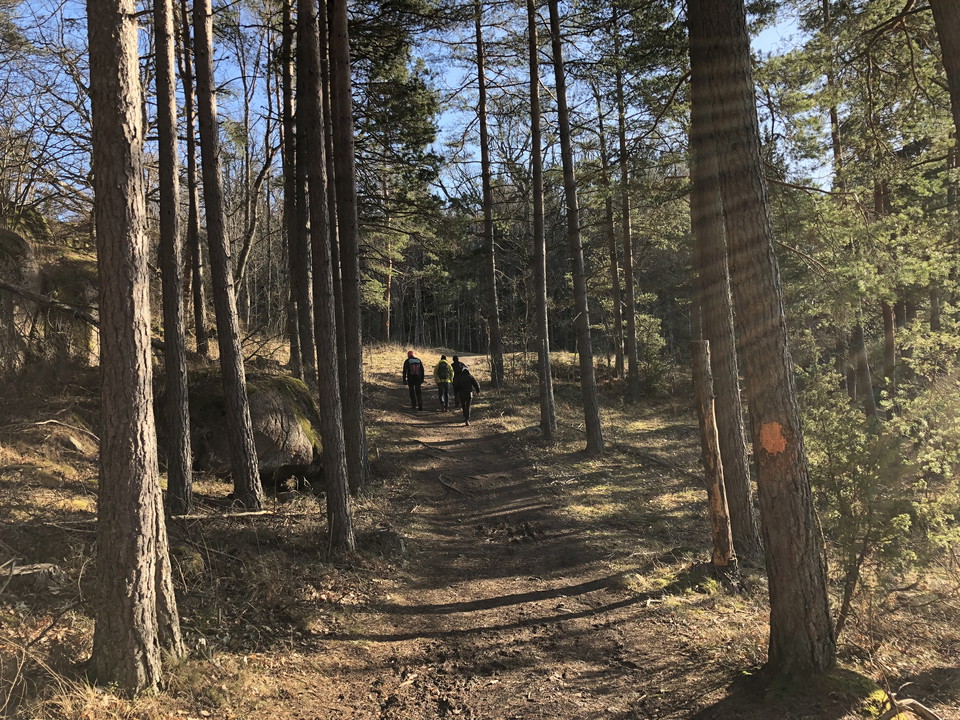 Norra sidan om Ågelsjön