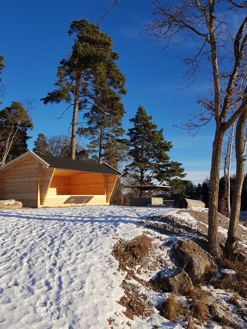 Norra Törnskogens naturreservat – friluftsliv i olika former