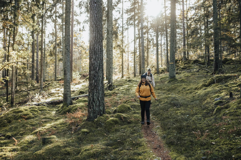 Ostkustleden i Oskarshamn