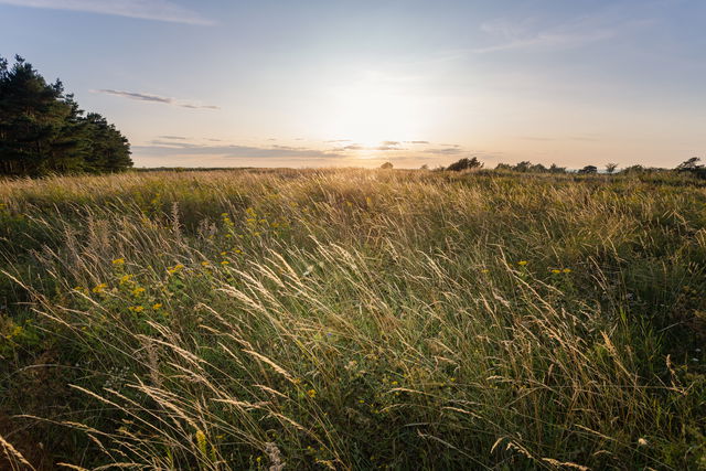 Silurstigen, Södra Hällarna, Visby