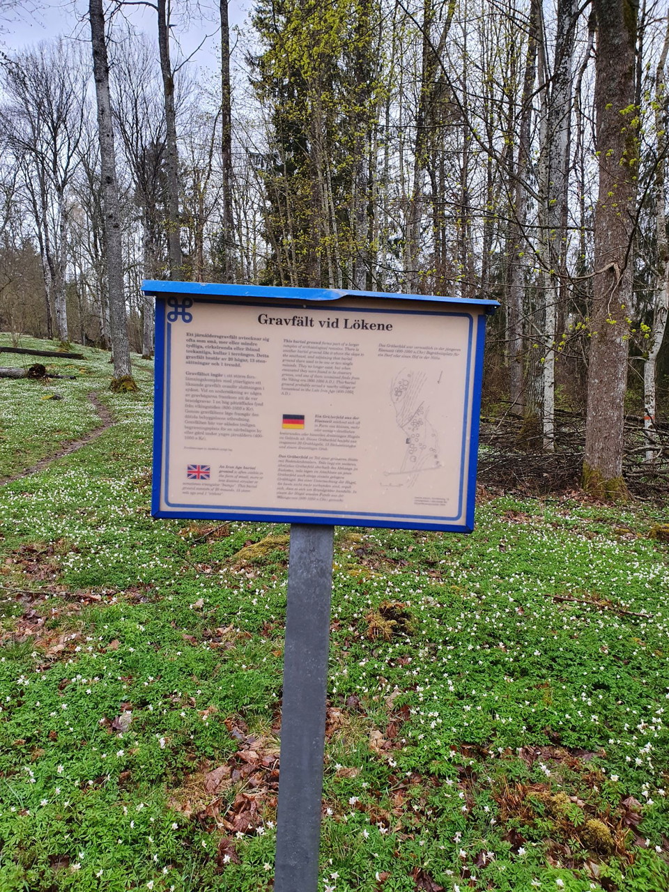 Lökene gravfält, Grums kommun