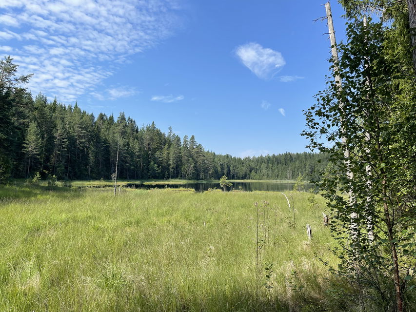Vy över Svartsjön