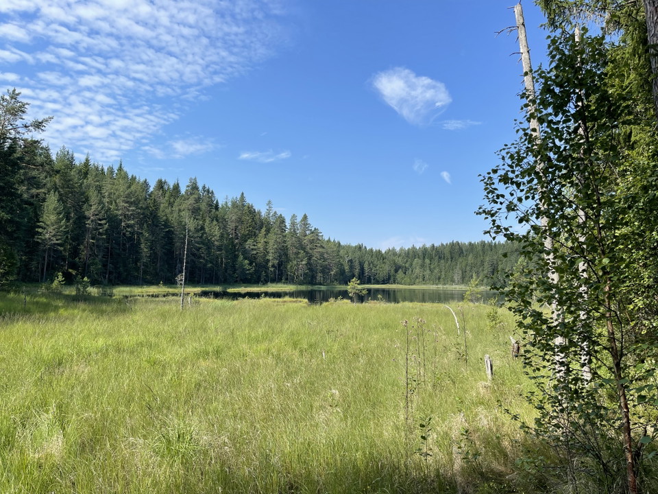 Vy över Svarttjärn