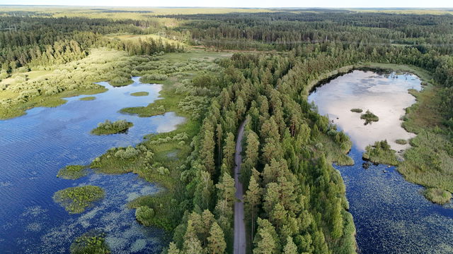 Salebodaåsen between the lakes Broken and Löften