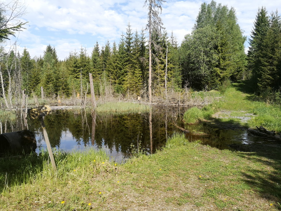 Vy över hyttdammen Anders-Ols hytta 