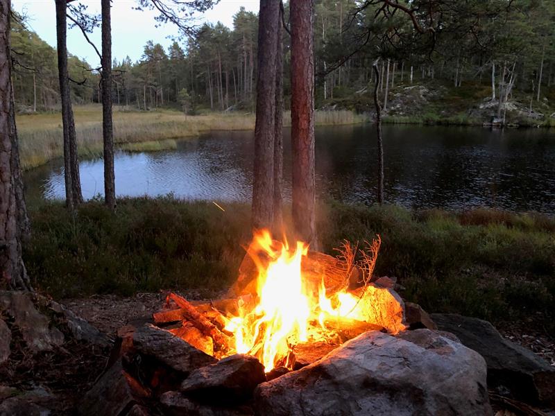 Fjella turområde