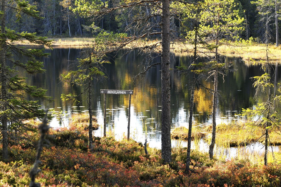 Höstvy över Bergtjärnen