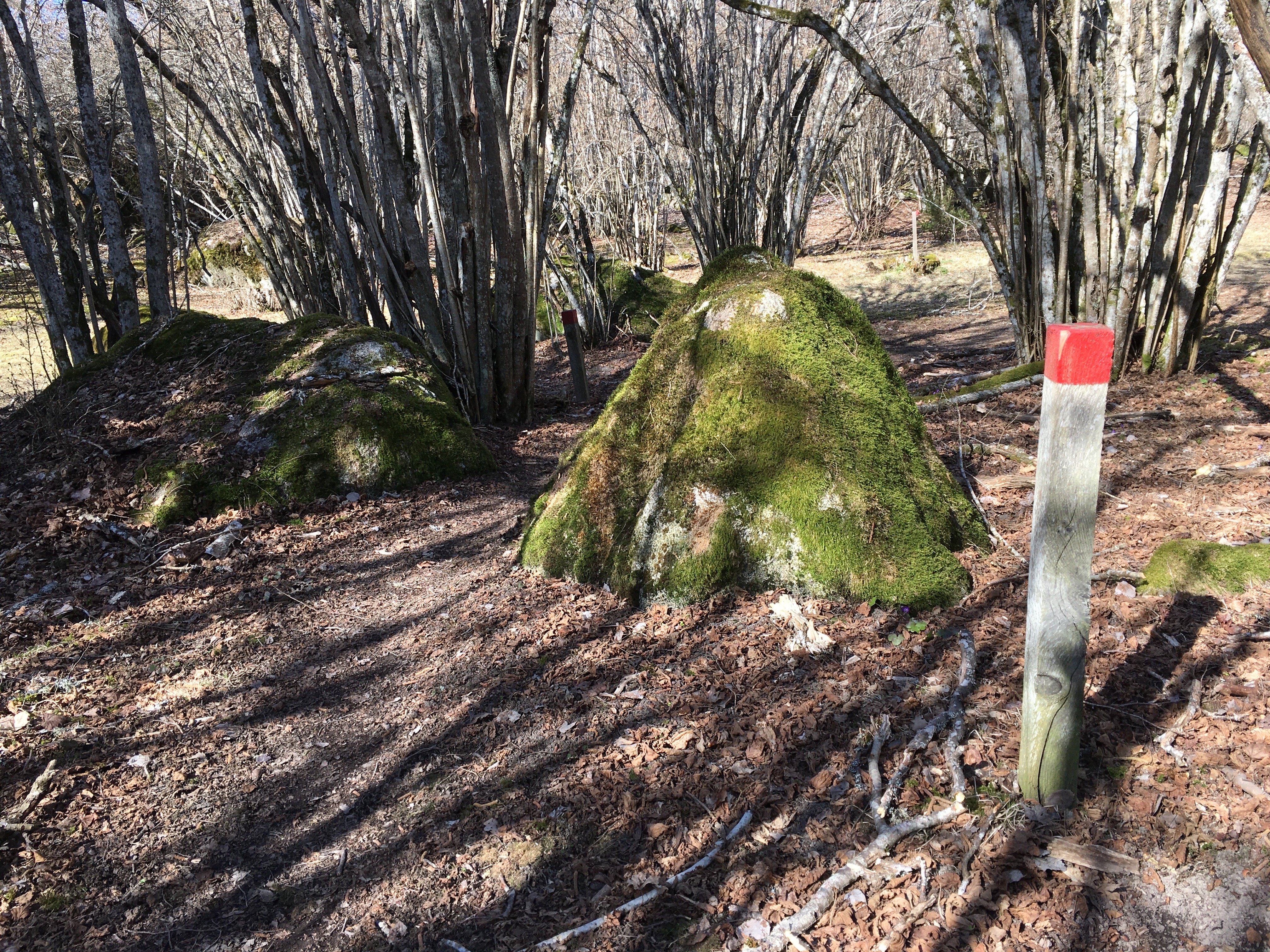 En kort stolpe med en röd markering står bland buskar och stora stenar.