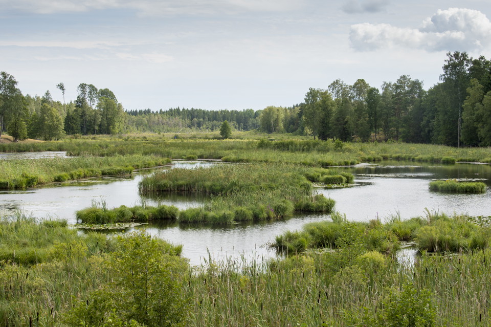 Vy över Simsjön