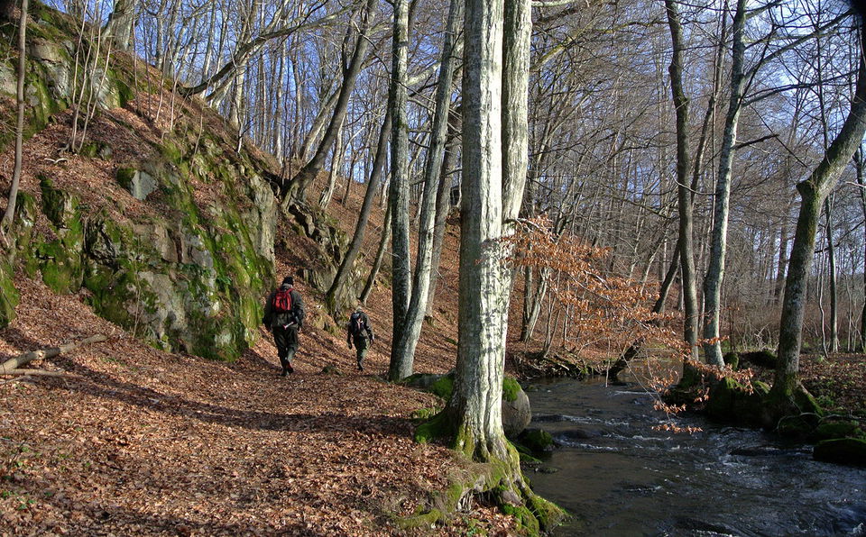 Djupadal, Klippans kommun