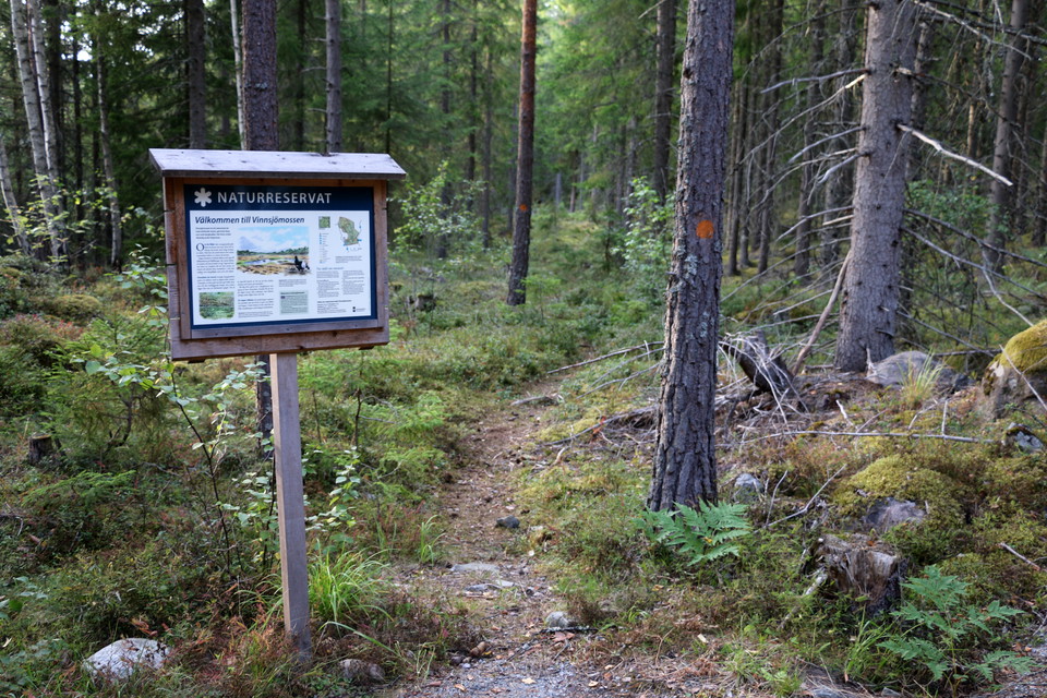 Informationstavla över naturreservatet. Träd med orangemarkering.