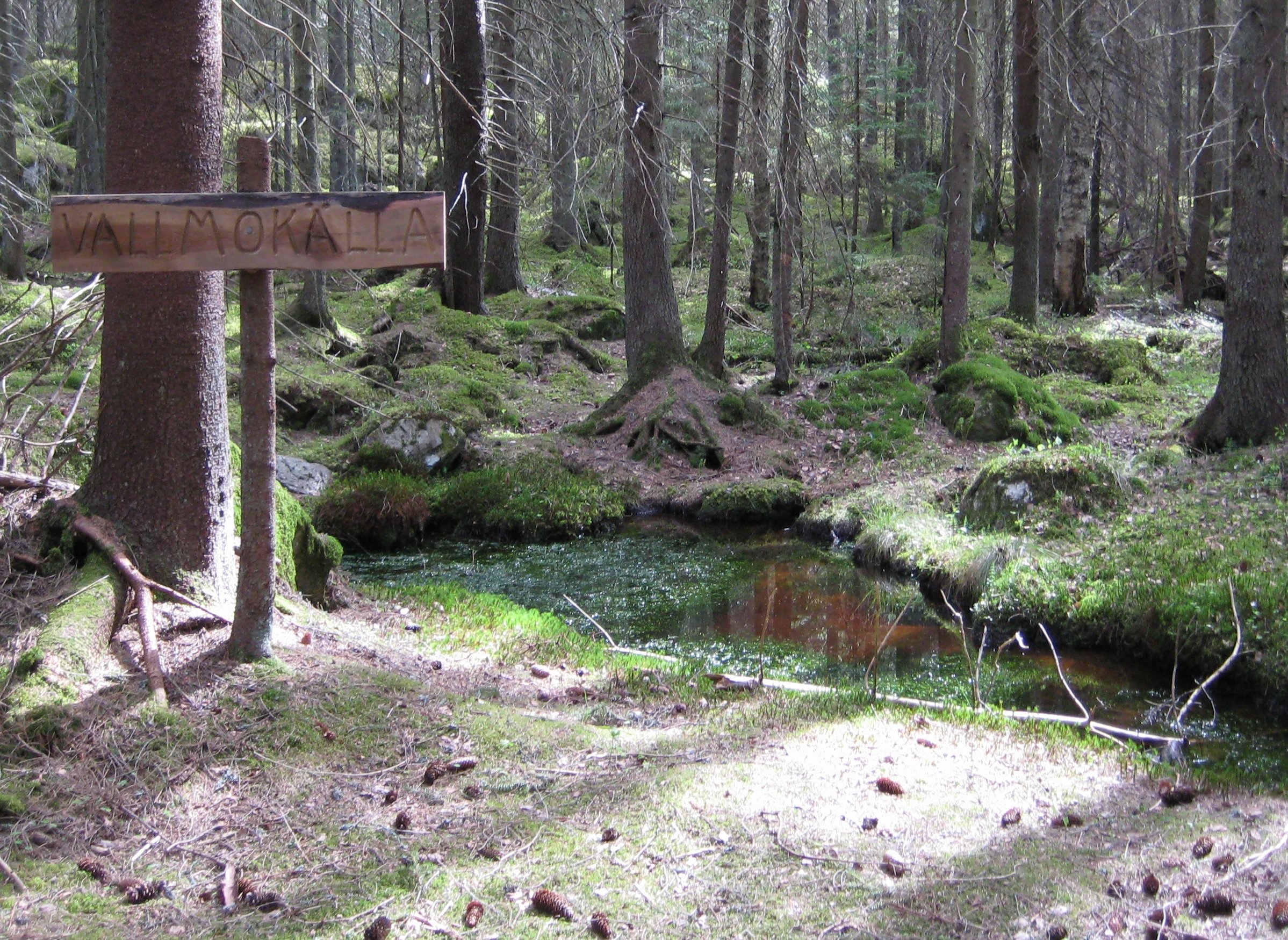 I en tät skog finns en liten vattenkälla. Vid källan står en skylt med texten "Vallmokälla" på.