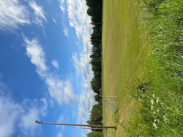 Fotbollsplan naturgräs