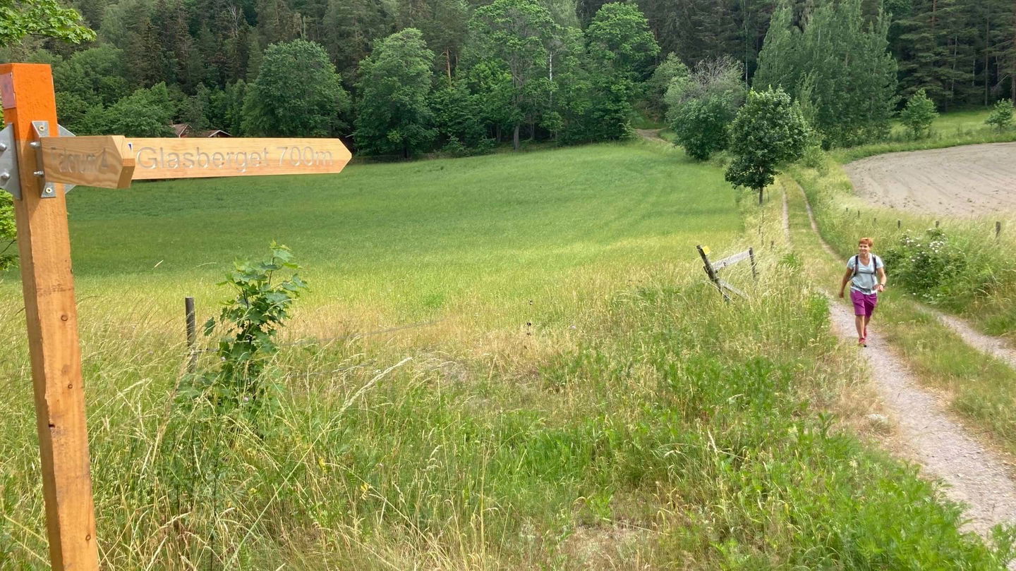 Kvinna som går längs Östergötaleden med en nyslagen åker vid sin sida.
