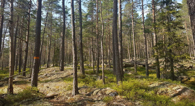Johanna Malmgren, Länsstyrelsen i Dalarna