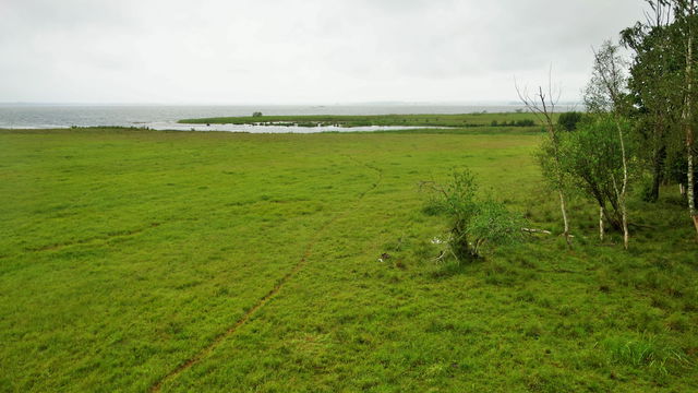 Kungsbro naturreservat