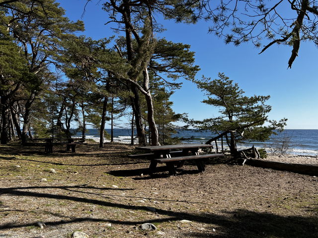 Bord, Trollskogen