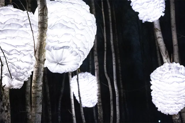 Ljuskonstverk lyser upp Skrylleskogen i februarimörkret