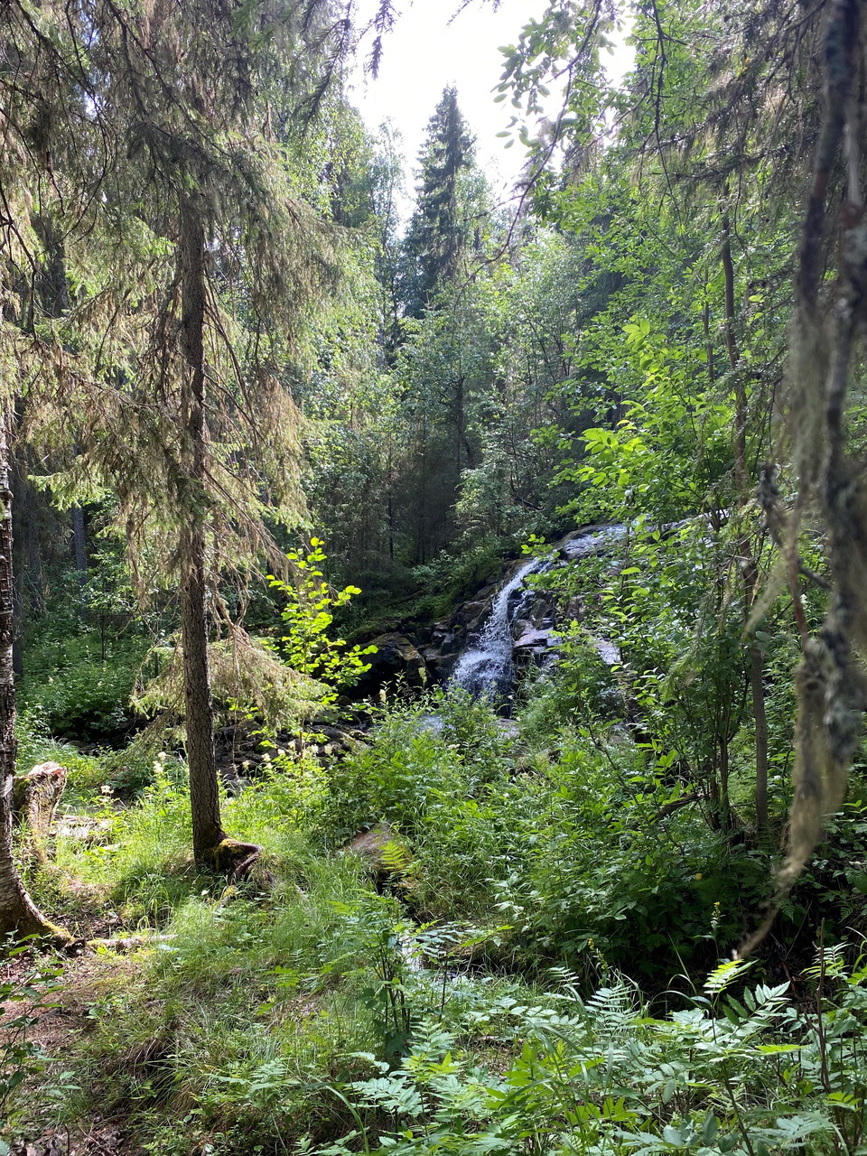 From the road you can see Brudslöjan