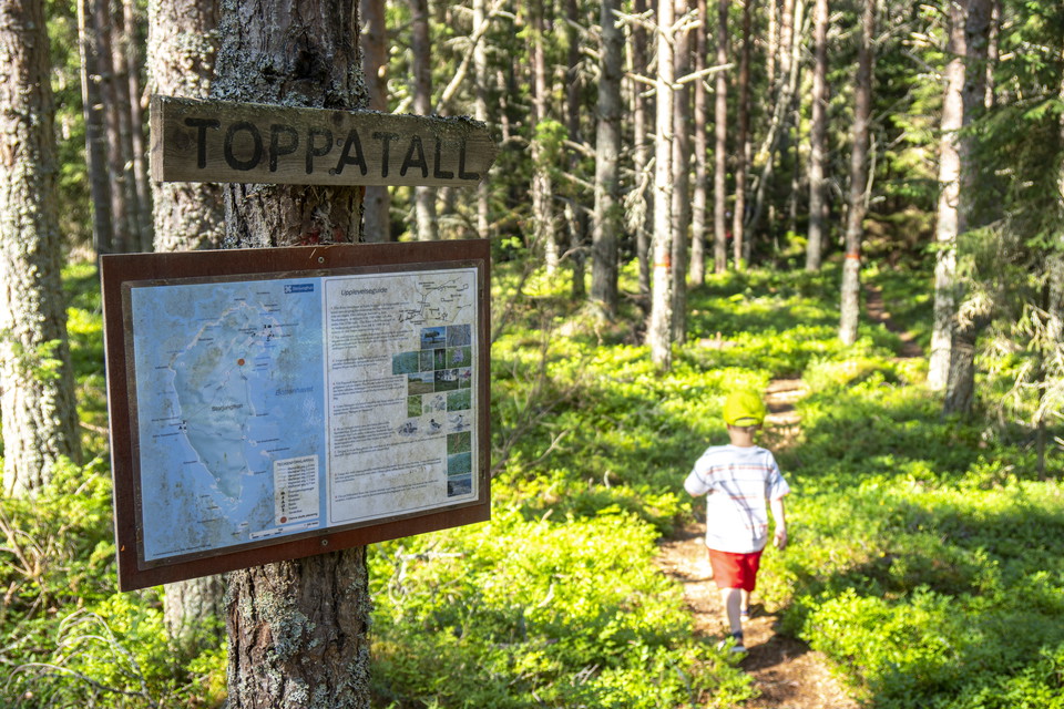 Informationsskylt om naturreservatet Storjungfrun