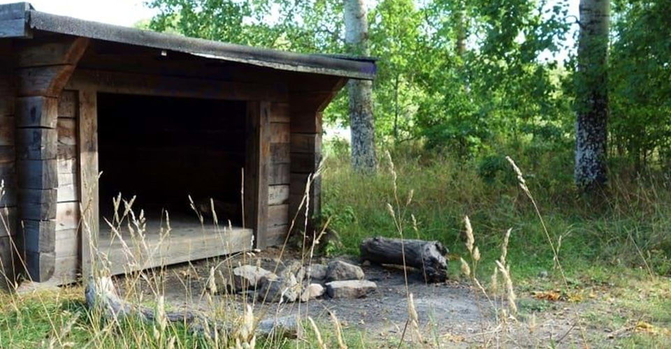 Vindskydd i ekbacke vid Djurgården
Etapp: Djurgården-Vidingsjö
Linköping