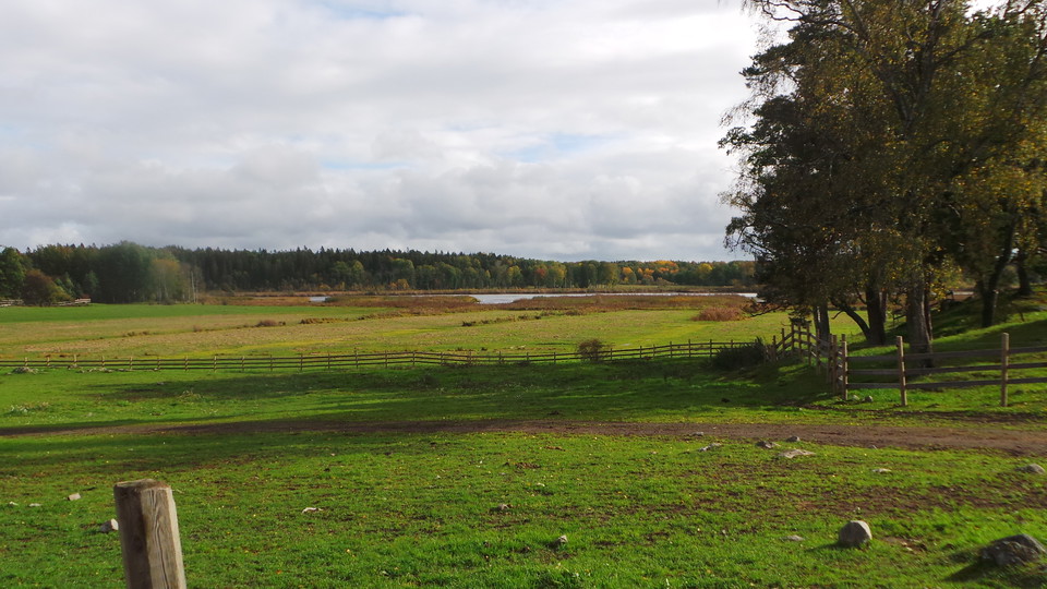 Utsikten från rastplatsen