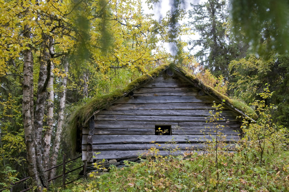 Örnbo.