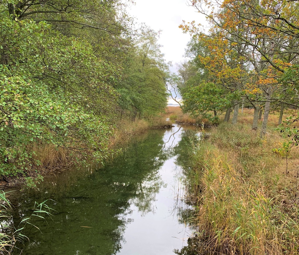 Sundbymarens utlopp. 