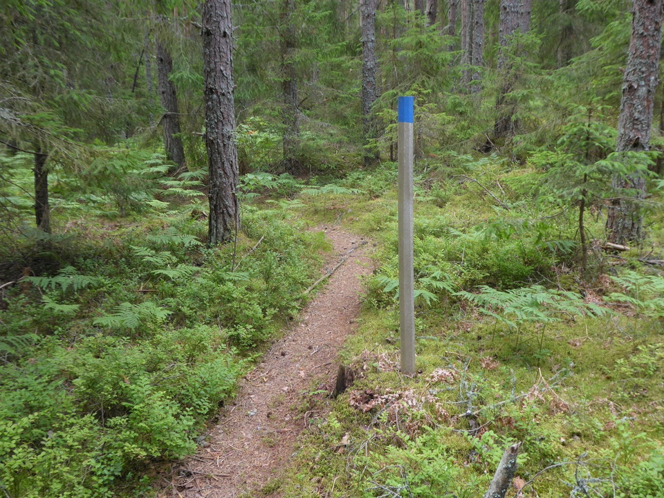 Delar av den blå slingan går på skogsstig