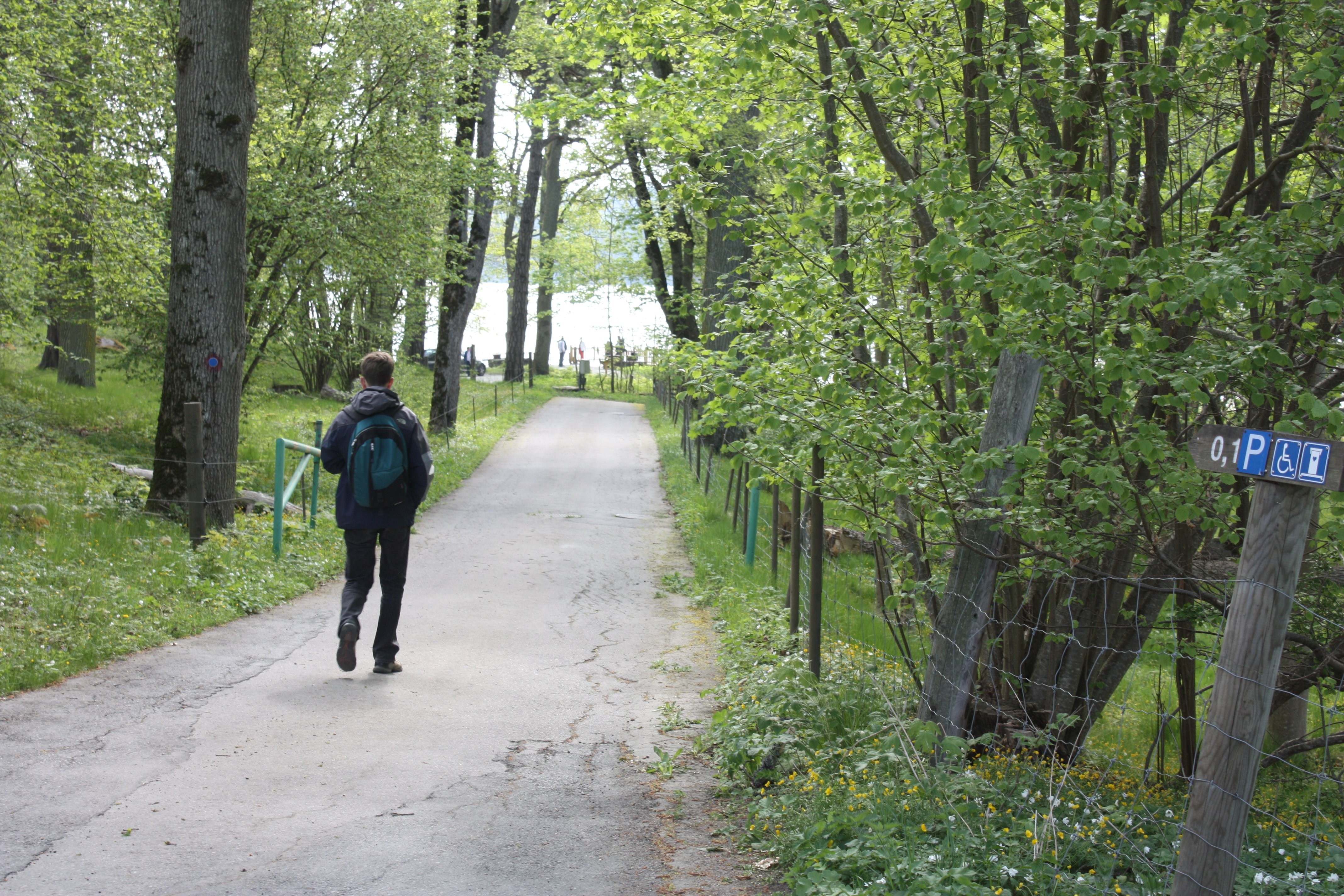 En person går längst en asfalterad väg mot en badplats. På båda sidorna av vägen finns staket med många träd innanför.