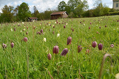 Fotograf: Ingela Eriksson