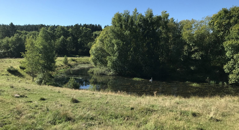 Bösketorps dammar i södra delen av reservatet.