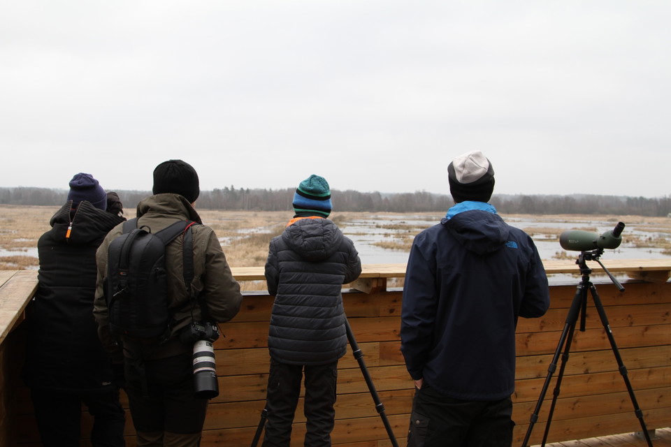 Fotograf: Thomas Hultquist