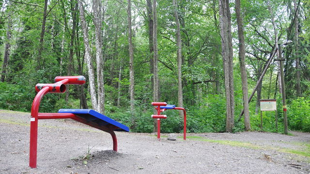 Grimstaskogens utegym