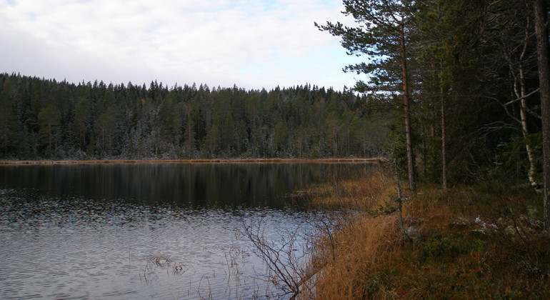 Trolsk stämning vid Tillammstjärnen.