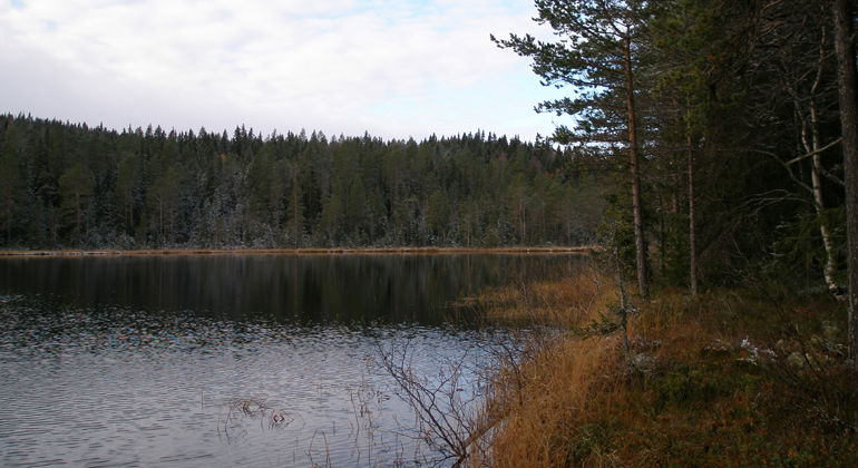 Trolsk stämning vid Tillammstjärnen.