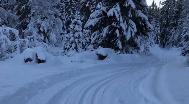 Skidspår Gräftåvallen Röda spåret