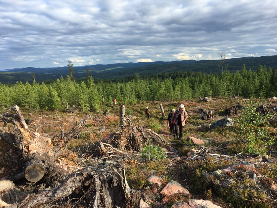 foto: Maj-Lis Wikström