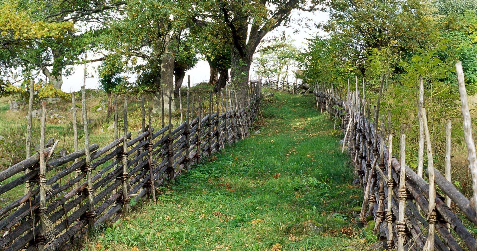 Höglandsleden etapp HÖ6 Ädelfors - Högarps kulturreservat - En del av Smålandsleden