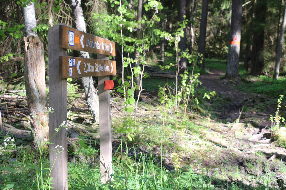 Två träskyltar visar vart leden går.