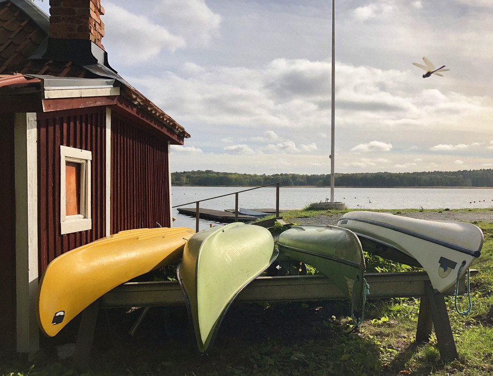 Kanoter som ligger upptagna på land.