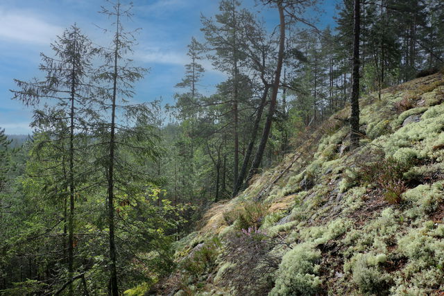 Landsberget