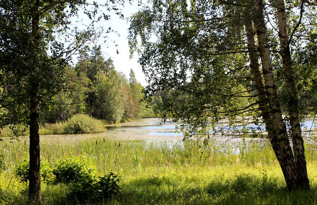 Rastplats Finntorp