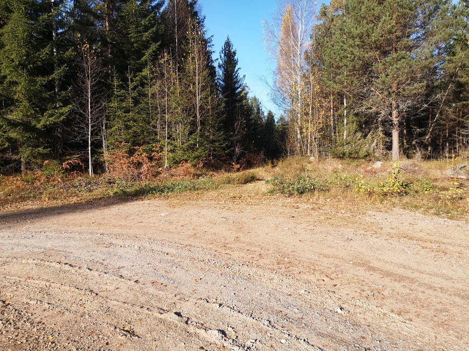 Ledkorsning längs med leden