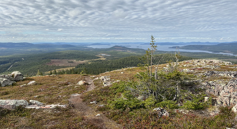 Utsikt från Jan-Svensamössan.