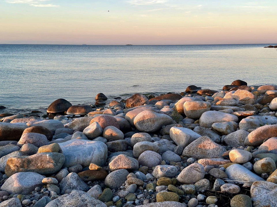 Foto: Robert Ekholm<br>