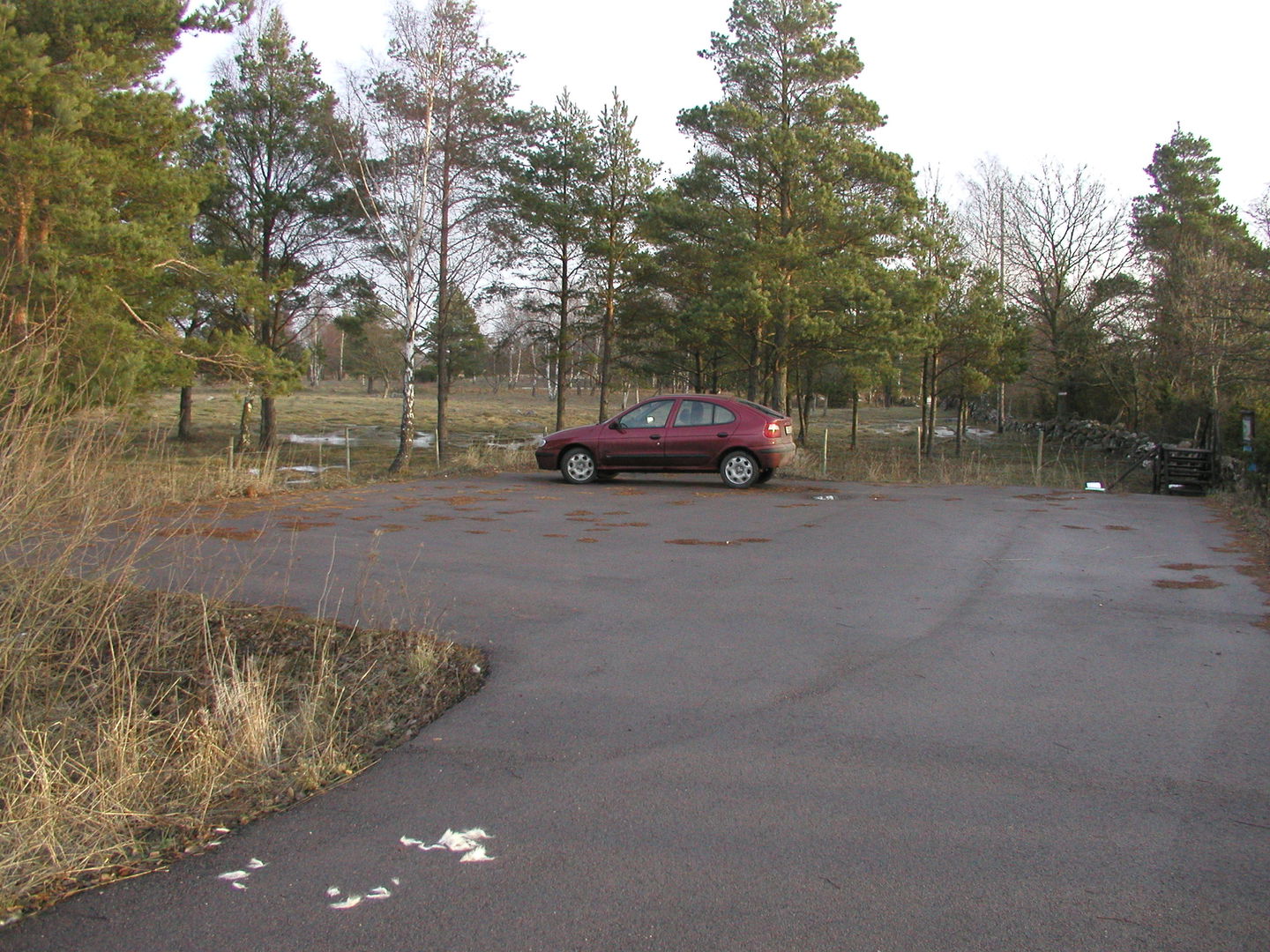 Bilparkeringen