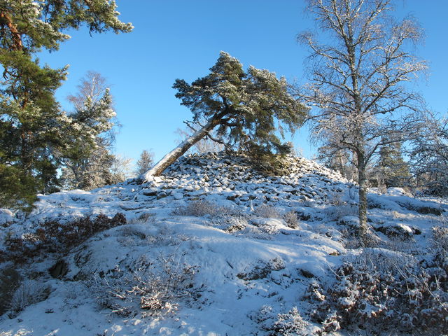 Bornsjön - Skårby gravröse och hägnad