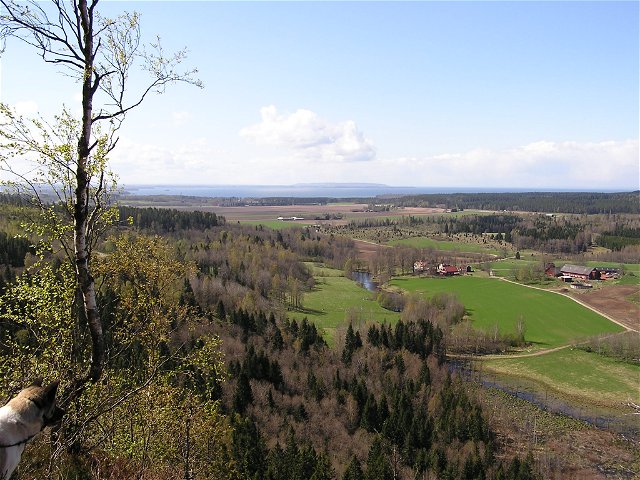 Hiking trail on Håleberget