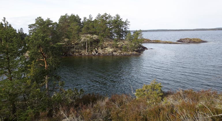 Klåvudden.